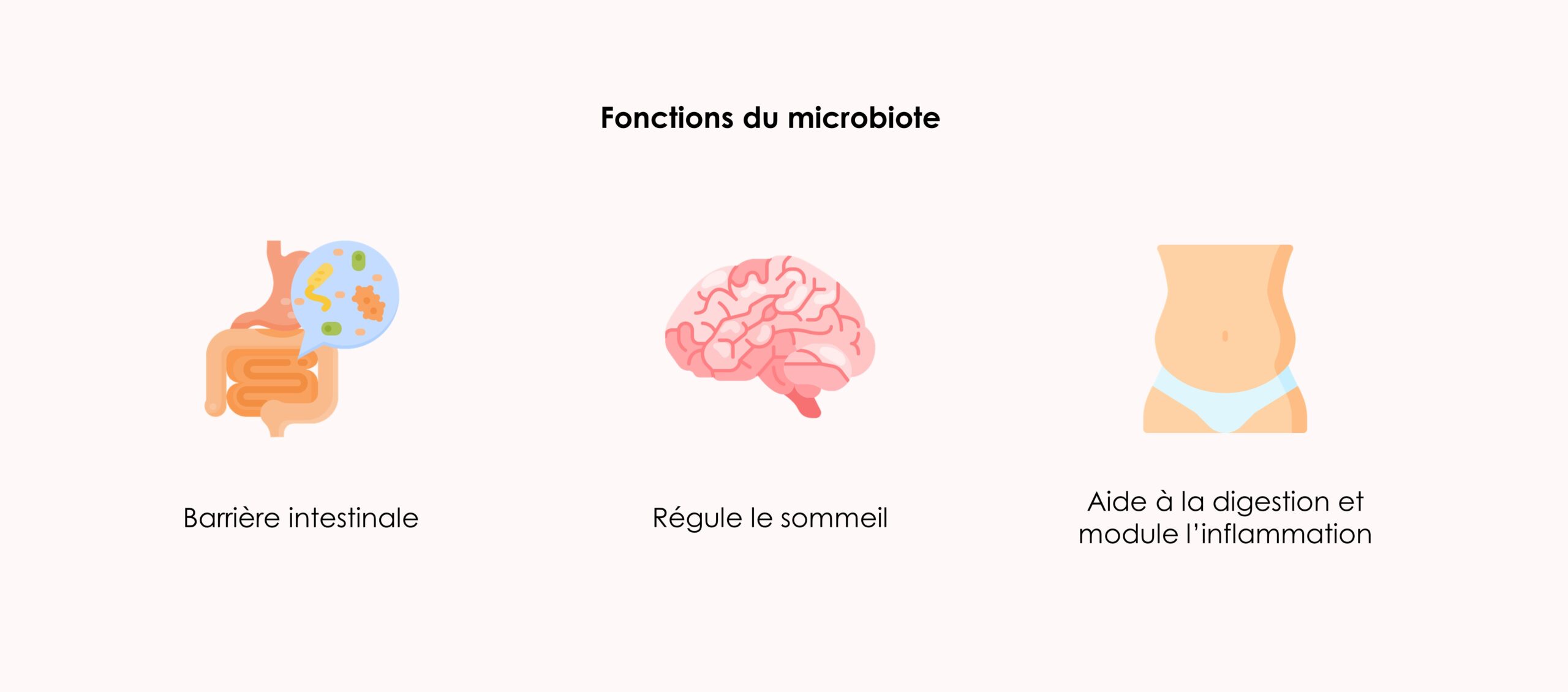 Fonctions du microbiote